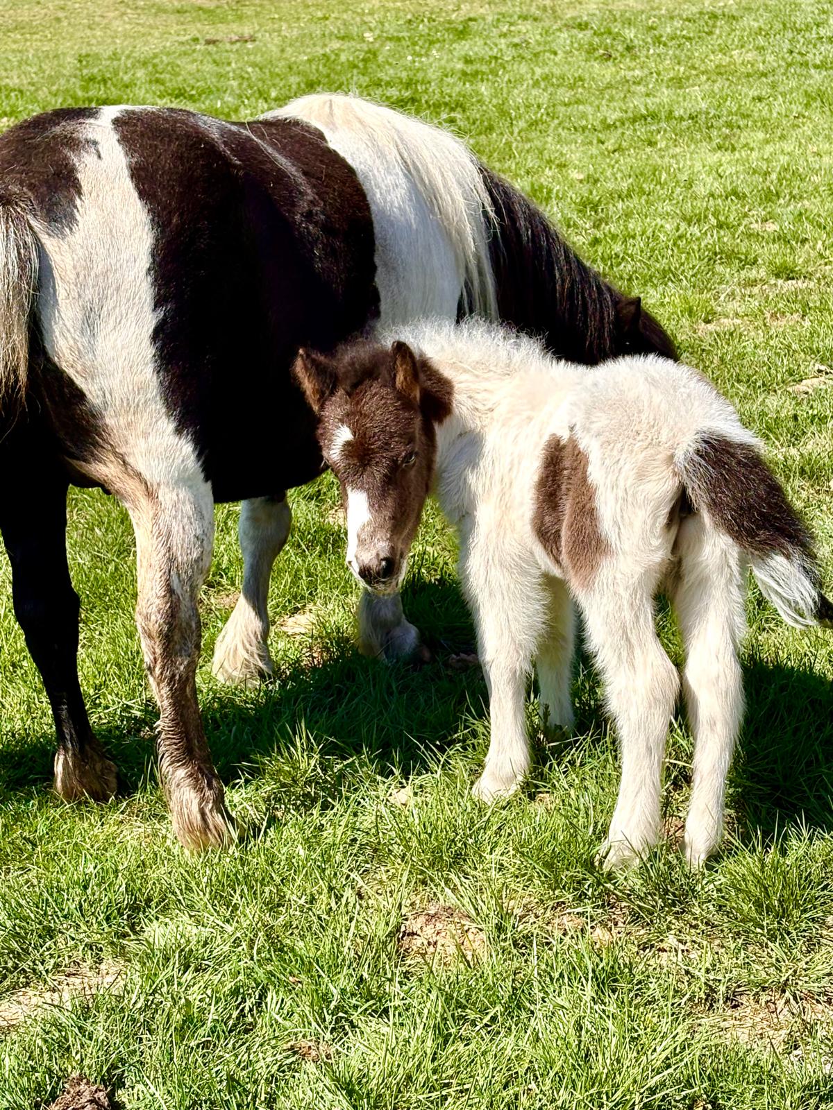 a87f254c-90f3-46a8-a353-a0696bbee1fe